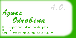 agnes odrobina business card